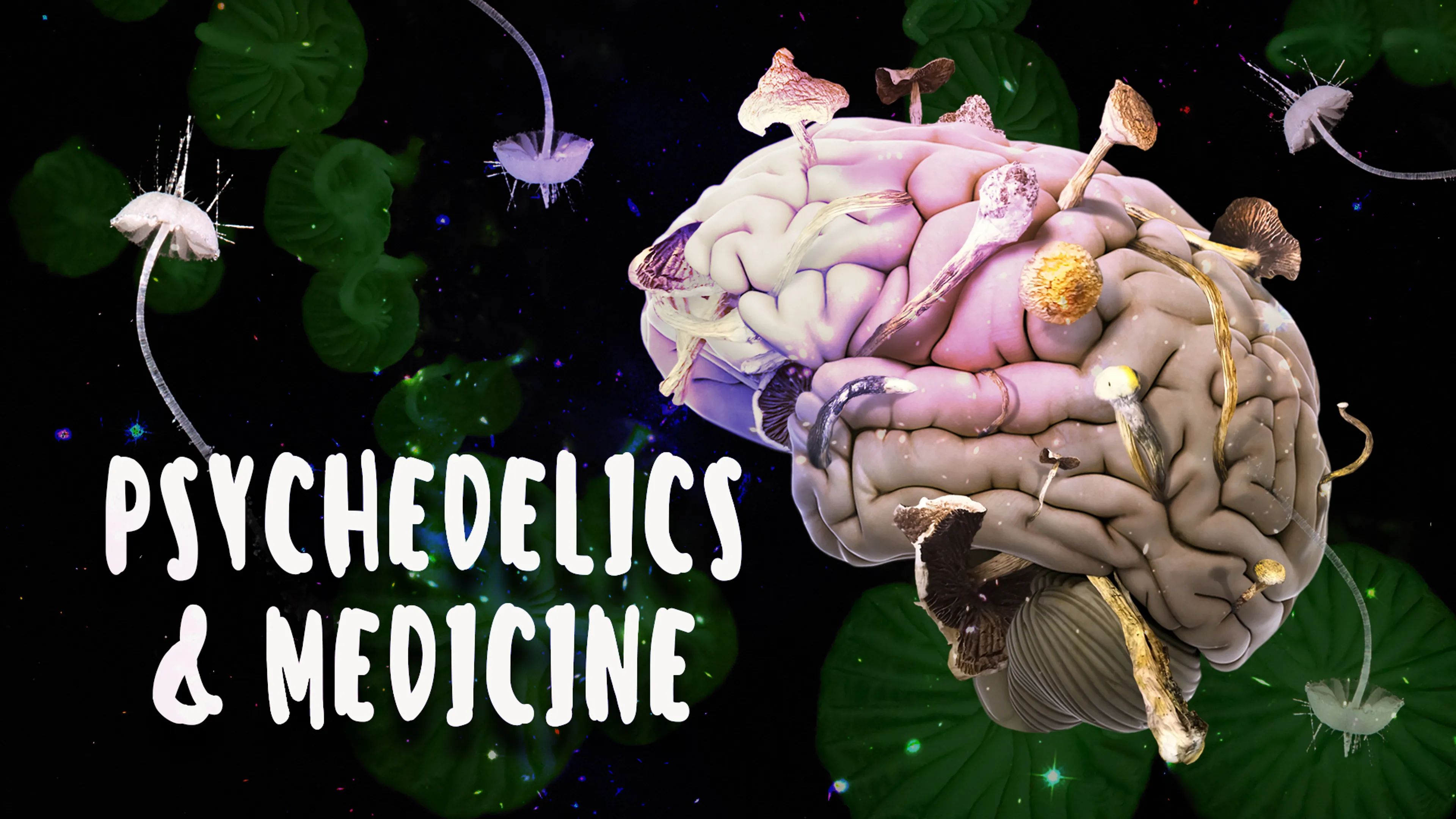 Psychedelics and Medicine poster
